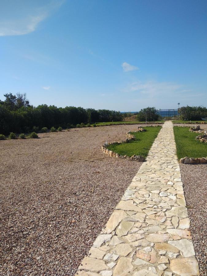 Villa Mansarda Camelie Via Dei Normanni, 45 Campofelice Di Roccella Exterior foto