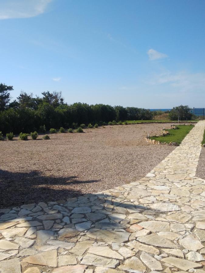 Villa Mansarda Camelie Via Dei Normanni, 45 Campofelice Di Roccella Exterior foto
