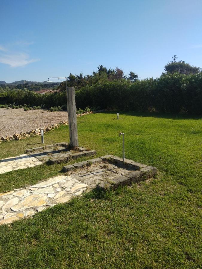 Villa Mansarda Camelie Via Dei Normanni, 45 Campofelice Di Roccella Exterior foto